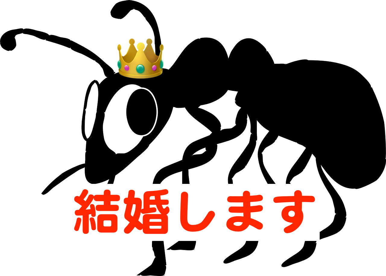 クロオオアリの結婚飛行